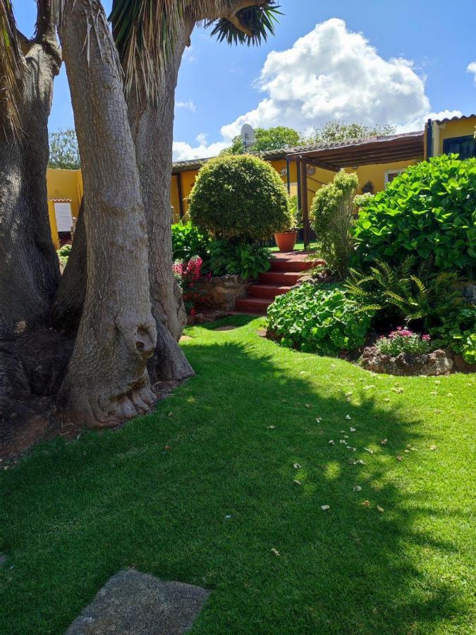 La Chimenea Verde Tacoronte Exterior foto